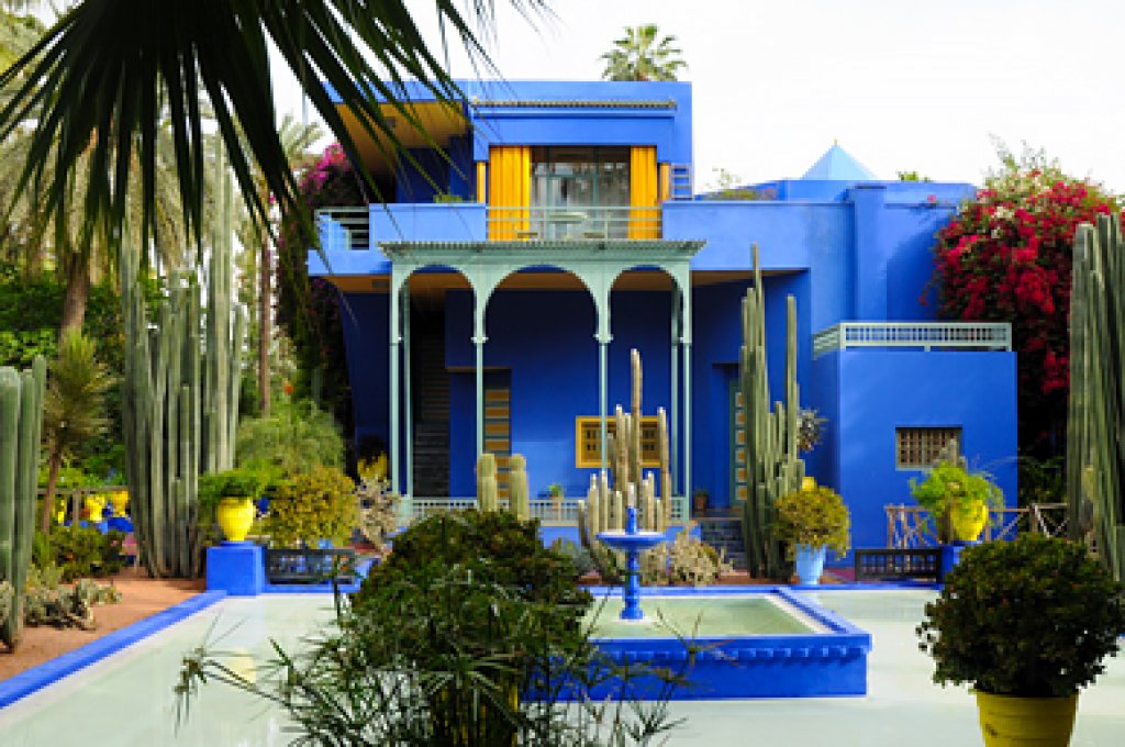 Visit of the botanical gardens