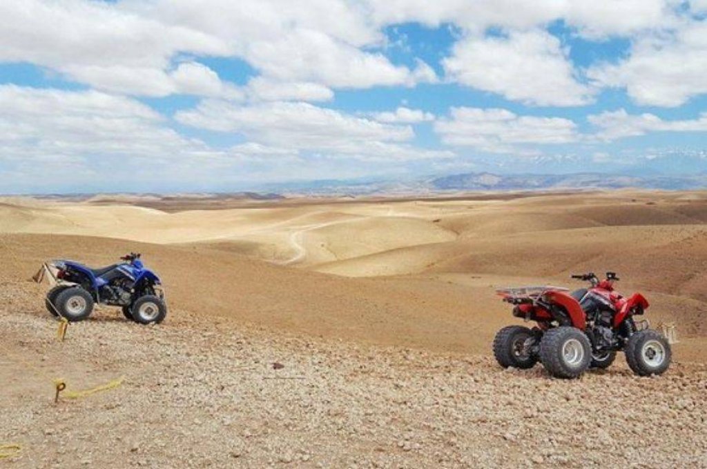 Quad biking in the palm grove of Marrakech